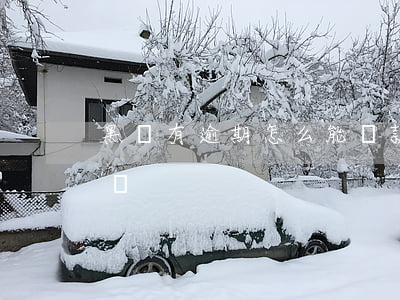 黑戶有逾期怎么能貸款(銀行貸款逾期是黑戶嗎)