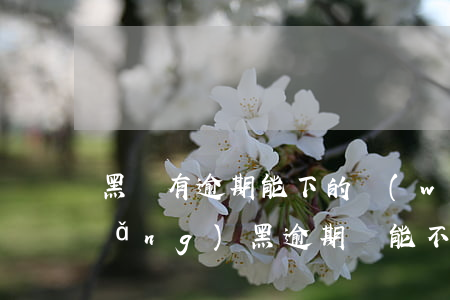 黑戶有逾期能下的網(wǎng)貸(網(wǎng)黑逾期還能不能貸)
