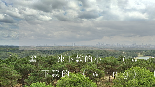 黑戶極速下款的小額網(wǎng)貸(黑名單下款的網(wǎng)貸口子)