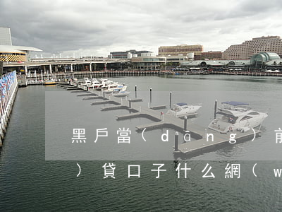 黑戶當(dāng)前逾期的網(wǎng)貸口子(什么網(wǎng)貸黑戶和逾期都可以借到錢)