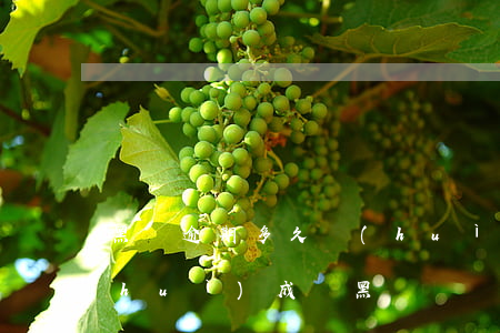 黑戶逾期多久會(huì)被起訴(逾期會(huì)成為黑戶嗎)