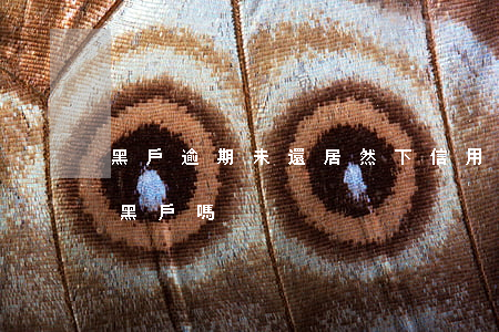 黑戶逾期未還居然下信用卡了-逾期了就是黑戶嗎