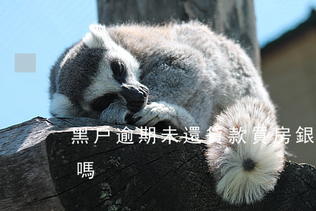 黑戶逾期未還貸款買房(銀行貸款逾期是黑戶嗎)