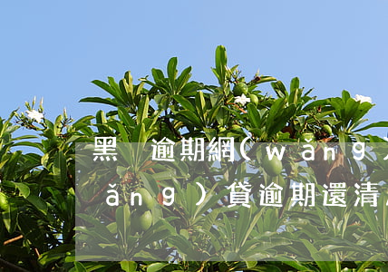 黑戶逾期網(wǎng)貸不了了嗎(網(wǎng)貸逾期還清后算黑戶嗎)