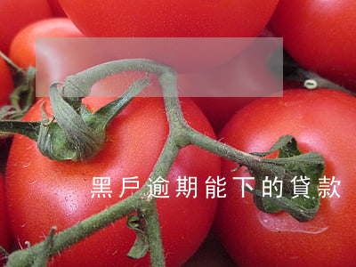 黑戶逾期能下的貸款