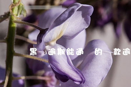 黑戶逾期能通過的貸款(逾期黑戶還能貸款嗎)