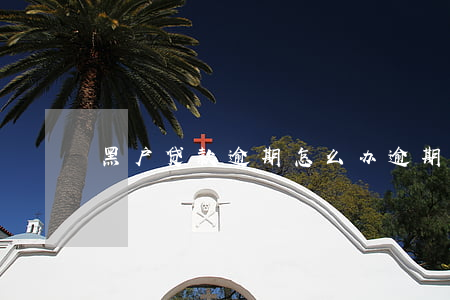 黑户贷款逾期怎么办(逾期黑户还能贷款吗)