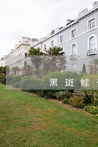 黑斑蛙養(yǎng)殖