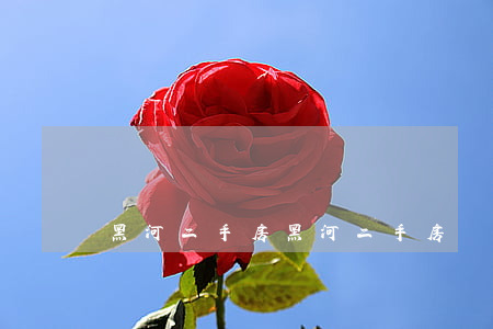 黑河二手房(黑河二手房)