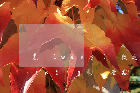黑網(wǎng)貸款逾期了會被告嗎(黑網(wǎng)貸逾期會造成什么后果)