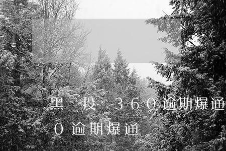 黑貓投訴360逾期爆通訊錄(黑貓投訴360逾期爆通訊錄)