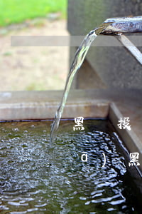 黑貓投訴信用卡逾期浦發(fā)(浦發(fā)黑卡信用卡)