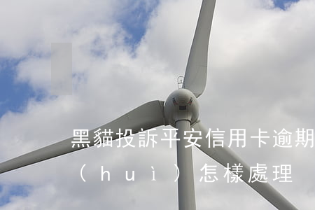 黑貓投訴平安信用卡逾期(平安信用卡逾期會(huì)怎樣處理)