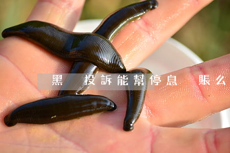 黑貓投訴能幫停息掛賬么