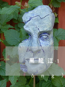 黑龍江12348法律服務(wù)網(wǎng)(黑龍江12348法律服務(wù)網(wǎng))