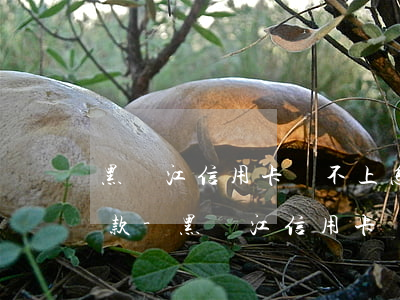 黑龍江信用卡還不上怎么協(xié)商還款-黑龍江信用卡還不上怎么協(xié)商還款呢