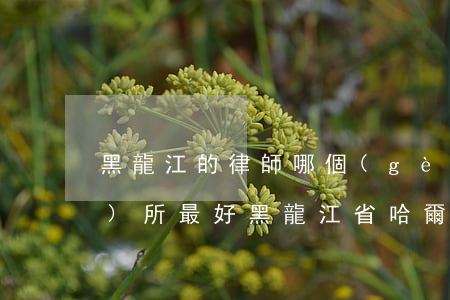 黑龍江的律師哪個(gè)律師事務(wù)所最好(黑龍江省哈爾濱找最好律師)