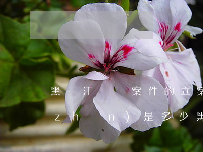 黑龍江盜竊案件的立案標(biāo)準(zhǔn)是多少(黑龍江省盜竊案件的立案標(biāo)準(zhǔn))