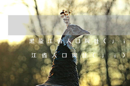黑龍江省人口與計(jì)劃生育條例(黑龍江省人口與計(jì)劃生育條例2021)