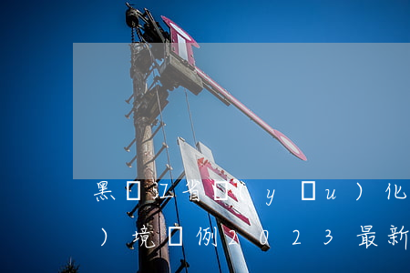 黑龍江省優(yōu)化營商環(huán)境條例2023最新版全文