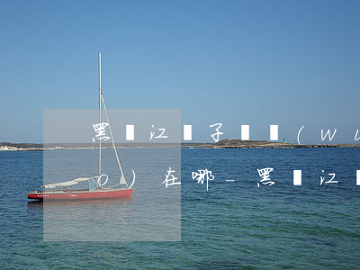 黑龍江電子稅務(wù)局逾期申報(bào)在哪-黑龍江電子稅務(wù)局逾期申報(bào)在哪查詢