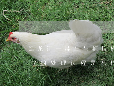 黑龙江一挂车与拖拉机相撞致15死 交通事故的处理过程是怎样的？