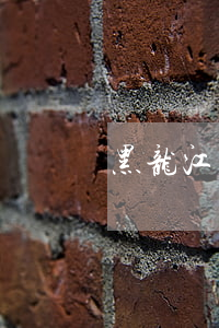 黑龙江省盗窃案件的立案标准是多少