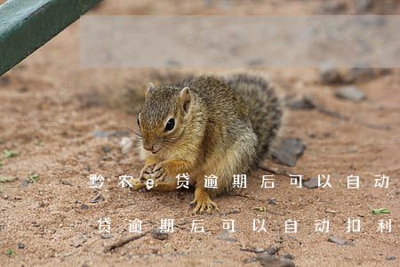 黔农e贷逾期后可以自动扣利息吗-黔农e贷逾期后可以自动扣利息吗怎么办
