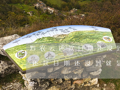 黔农云还款日期还没到就显示逾期-黔农云还款日期还没到就显示逾期怎么办