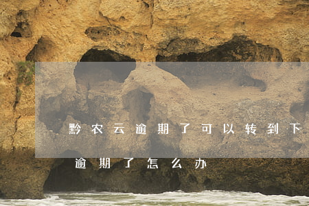 黔农云逾期了可以转到下一年还吗-黔农云逾期了怎么办