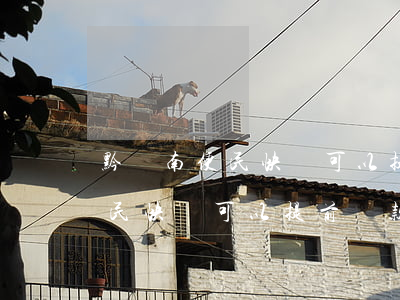 黔東南便民快貸可以提前還款嗎-黔東南便民快貸可以提前還款嗎現(xiàn)在