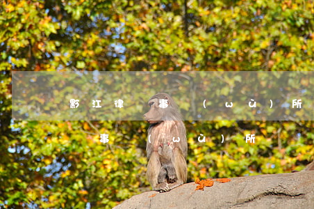 黔江律師事務(wù)所在哪里(重慶黔江律師事務(wù)所電話)