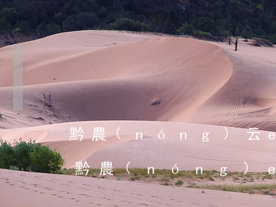 黔農(nóng)云e貸逾期了怎么還款-黔農(nóng)e貸逾期一天還了還可以借出來(lái)嗎