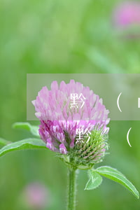 黔農(nóng)云貸款逾期怎么辦信用卡(黔農(nóng)云不小心逾期了怎么辦)