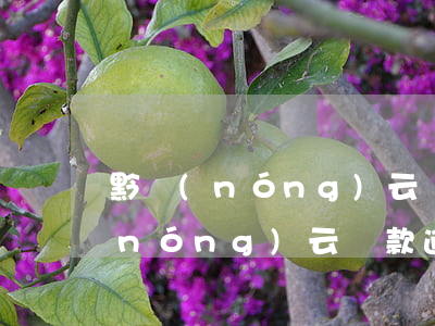 黔農(nóng)云貸款逾期怎么還(黔農(nóng)云貸款逾期怎么還)