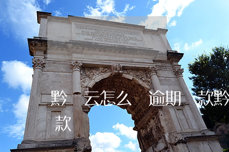 黔農云怎么還逾期貸款(黔農云怎么還逾期貸款)