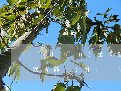 點(diǎn)金卡逾期協(xié)商還款(浙商點(diǎn)金卡逾期后果)