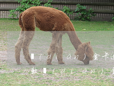 點(diǎn)金卡逾期協(xié)商還款(點(diǎn)金卡逾期協(xié)商還款)