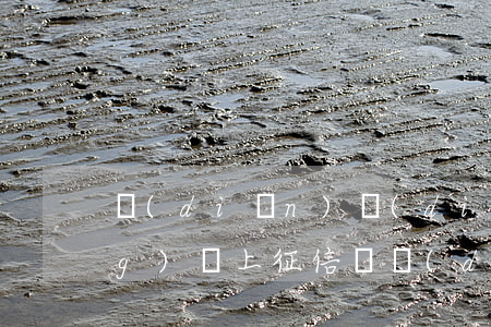 點(diǎn)點(diǎn)網(wǎng)貸上征信嗎（點(diǎn)點(diǎn)網(wǎng)貸起訴嗎）