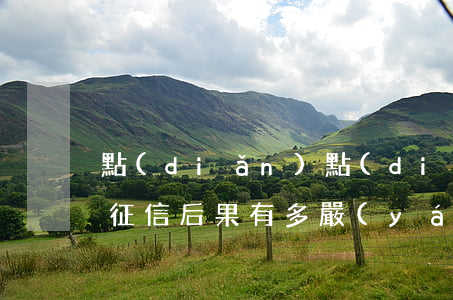 點(diǎn)點(diǎn)逾期多久上征信后果有多嚴(yán)重-點(diǎn)點(diǎn)逾期上征信嗎