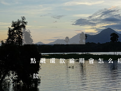 點融還款逾期會怎么樣(點融貸款可以拒絕還款)