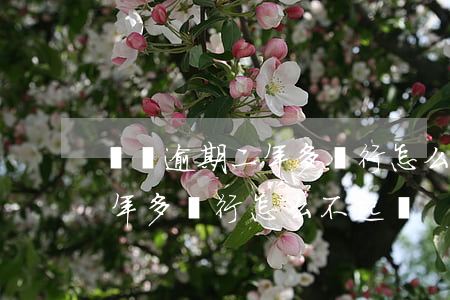 點貸逾期二年多銀行怎么不起訴 點貸逾期二年多銀行怎么不起訴