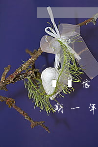 黟縣信用卡逾期一千五(欠信用卡1500逾期一年)