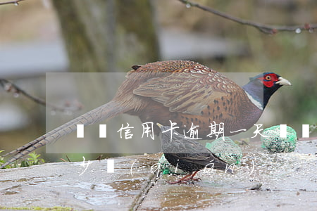 黟縣信用卡逾期一天 黟縣信用卡逾期一天多少錢(qián)