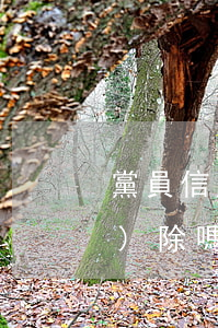 黨員信用卡逾期會(huì)被開(kāi)除嗎(入黨銀行有逾期會(huì)有影響嗎)
