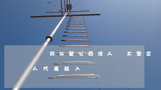 黨員可以是公司法人嗎(大型企業(yè)法人代表能入黨嗎)