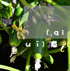 黨員強(qiáng)化國家法律法規(guī)意識(如何加強(qiáng)普法教育,推動省直機(jī)關(guān)黨員干部增強(qiáng)法制意識)