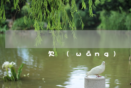 黨員欠網(wǎng)貸怎么處理