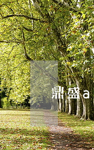 鼎盛app貸款逾期(鼎盛貸你盈最新消息)