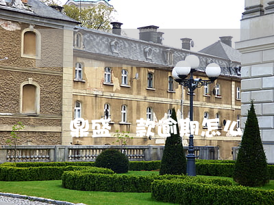 鼎盛還款逾期怎么辦